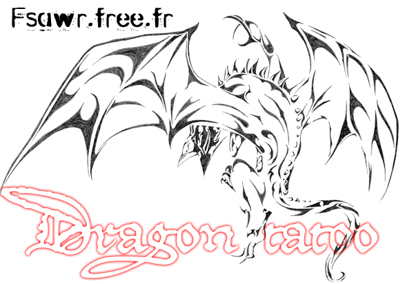 chargement Image...
